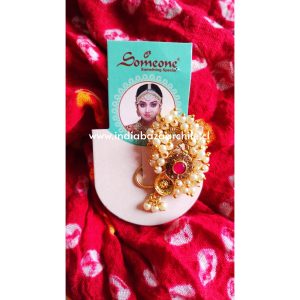 ARO NARIZ DANZA INDIA 1