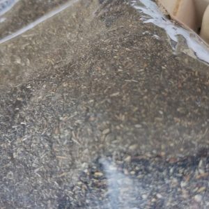 ESTORAQUE STORAX RESINA EN POLVO